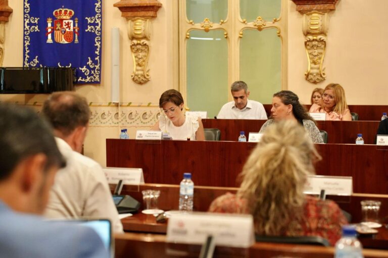 El pleno aprueba el Reglamento de Evaluación del Desempeño  y  Carrera Profesional Horizontal de la Diputación de Badajoz y sus Organismos Autónomos