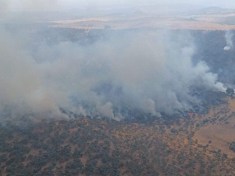 El Plan Infoex estabiliza el incendio de Burguillos del Cerro y desactiva el nivel 1