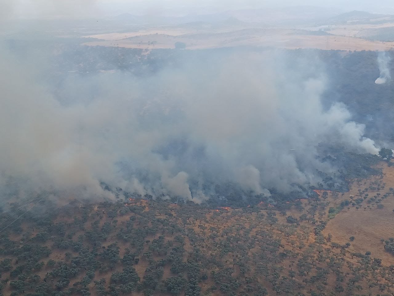 El Plan Infoex estabiliza el incendio de Burguillos del Cerro y desactiva el nivel 1
