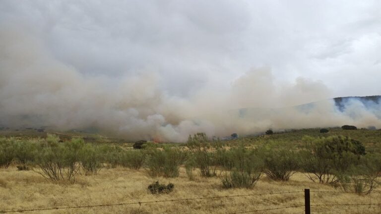 El Infoex declara el nivel 1 de peligrosidad por un incendio forestal originado en Conquista de la Sierra