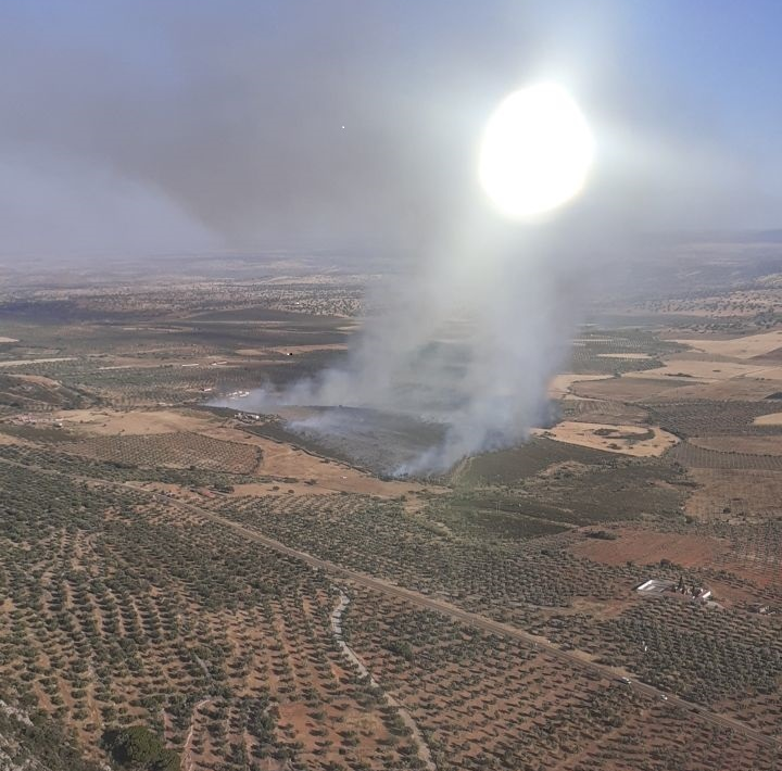 El Plan Infoex declara nivel 1 en un incendio en Benquerencia de la Serena