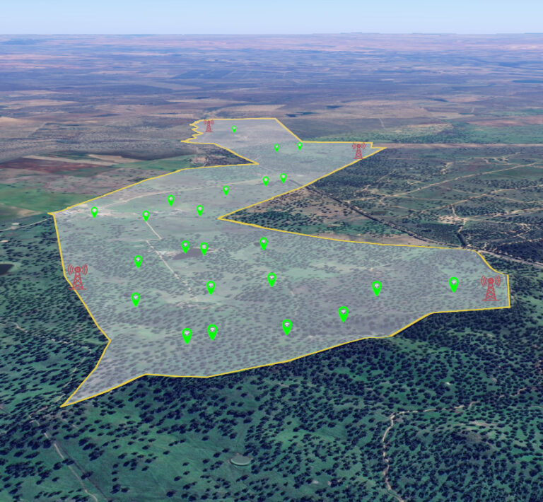 CICYTEX desarrolla acciones de I+D+i para la transición digital y la regeneración de la dehesa