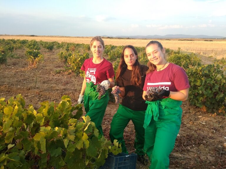 La Junta de Extremadura da luz verde a 422 resoluciones de ayudas a jóvenes agricultores en menos de un año