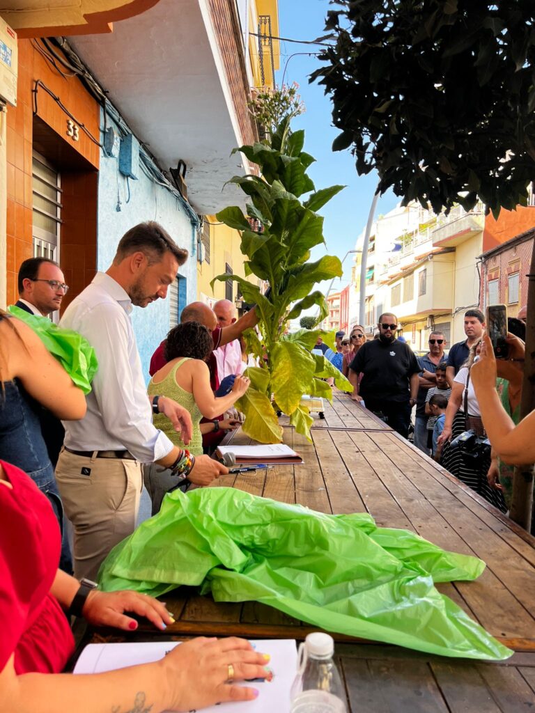La Junta celebra junto a los jazaireños el 50 aniversario del concurso del tabaco y el pimiento, dos cultivos vitales para la economía extremeña
