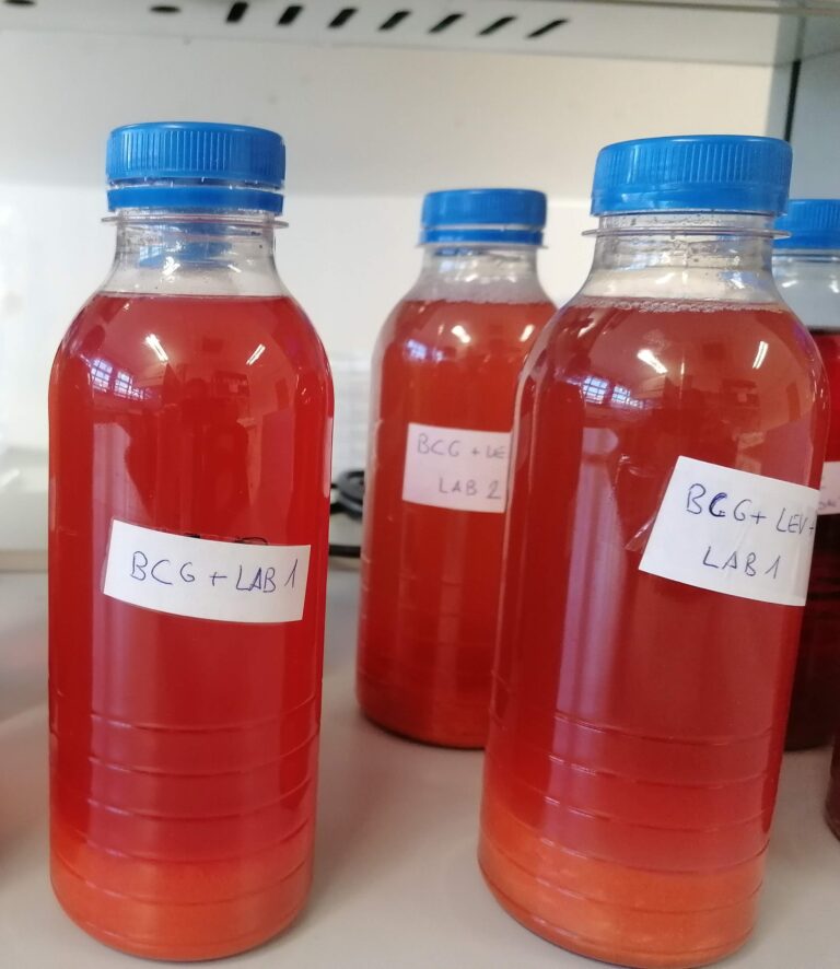 CICYTEX trabaja en el formulado de bebidas saludables y en sistemas de procesados de alimentos innovadores en el marco del Programa AGROALNEXT