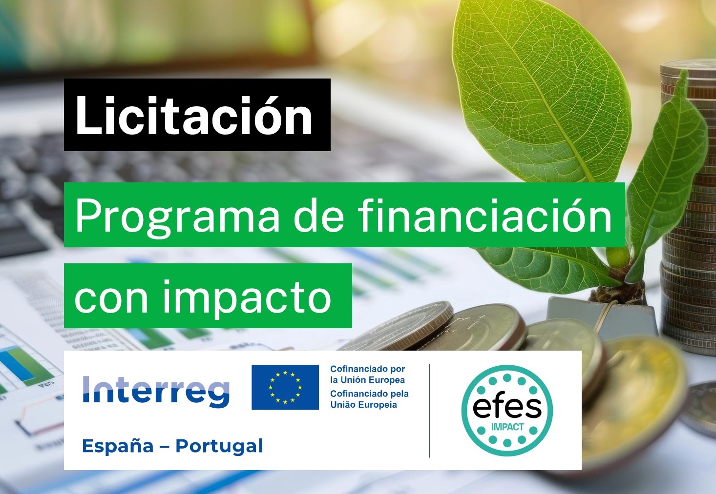 Abierta la licitación por lotes para realizar acciones destinadas al impulso de la financiación con impacto por importe de más de 68.000 euros