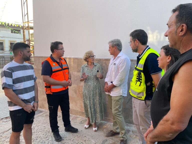 La Junta de Extremadura da por controlado el incendio originado en Alía y se desactiva el Plan Especial de Protección Civil del INFOCAEX