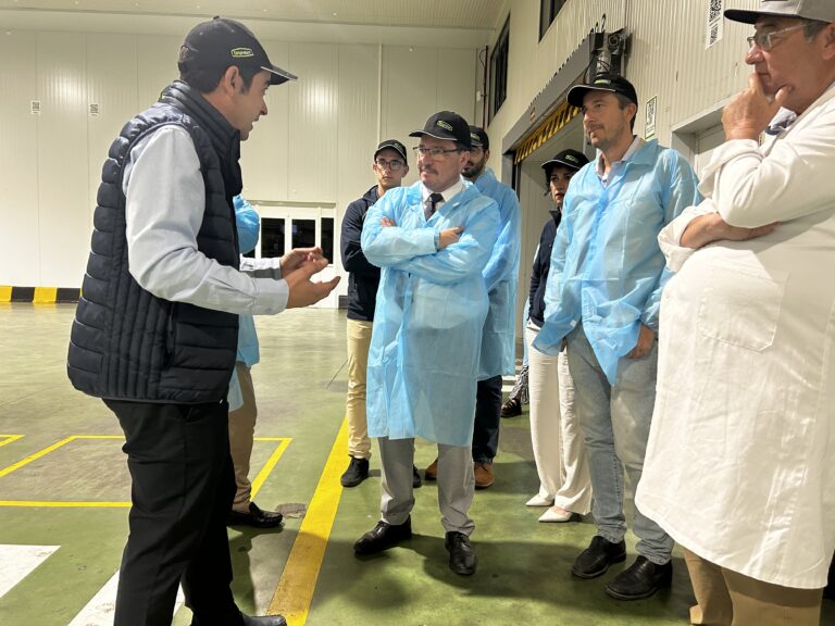 Santamaría anuncia una nueva línea de ayudas para la promoción internacional de PYMES dotada con más de 1.666.000 euros