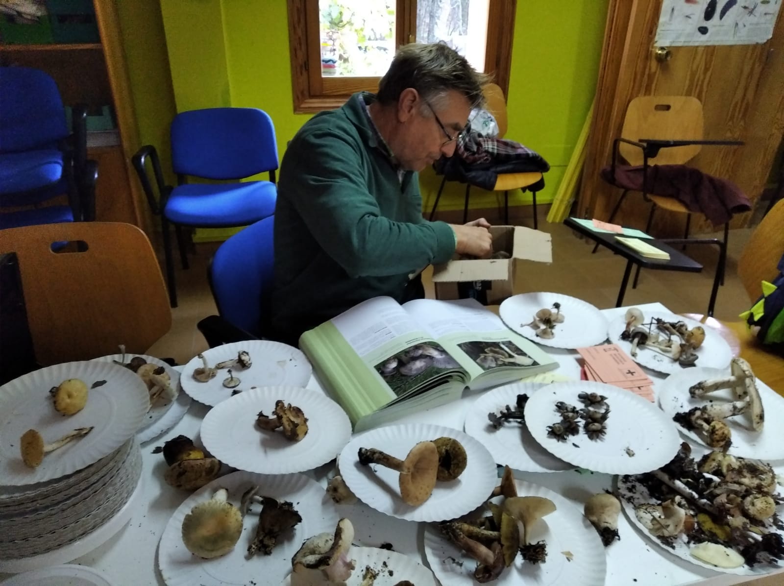 Las XVII Jornadas Micológicas del Centro de Educación Ambiental de Cuacos de Yuste tendrán lugar el 25 de noviembre