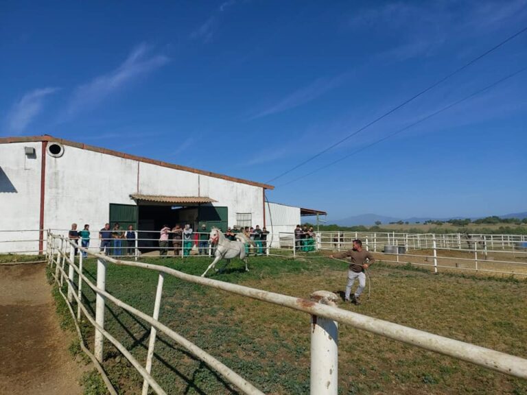 El Centro de Formación del Medio Rural de Moraleja oferta un nuevo módulo de auxiliar de reses de lidia, aumentando las prácticas para potenciar la empleabilidad