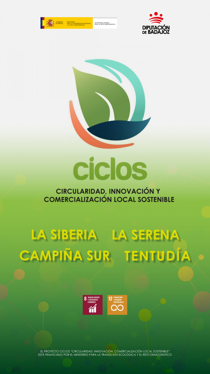 La Diputación de Badajoz lanza un amplio programa de formaciones gratuitas en el marco del Proyecto CICLOS