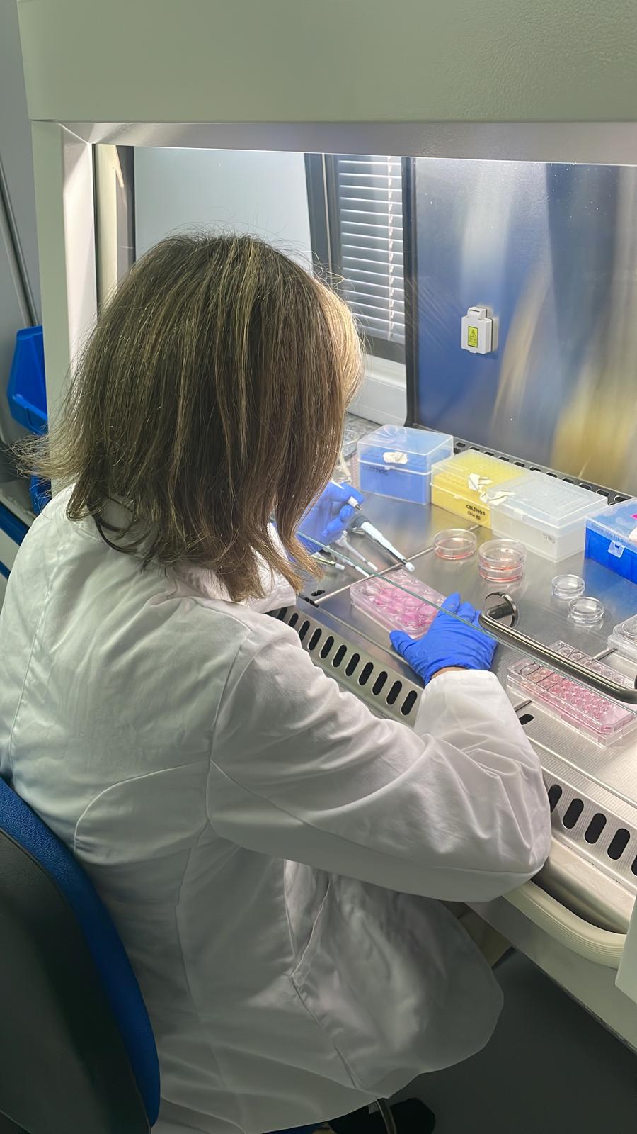 El Centro de Cirugía de Mínima Invasión Jesús Usón oferta cuatro puestos de trabajo para dos investigadores y dos técnicos