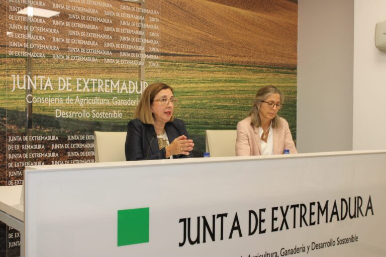 La Junta de Extremadura busca impulsar los certificados de ahorro energético a través de unas jornadas en Mérida