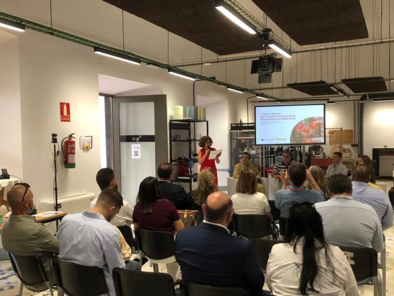 La Diputación de Badajoz organiza una jornada técnica para fortalecer la digitalización del comercio rural de la provincia