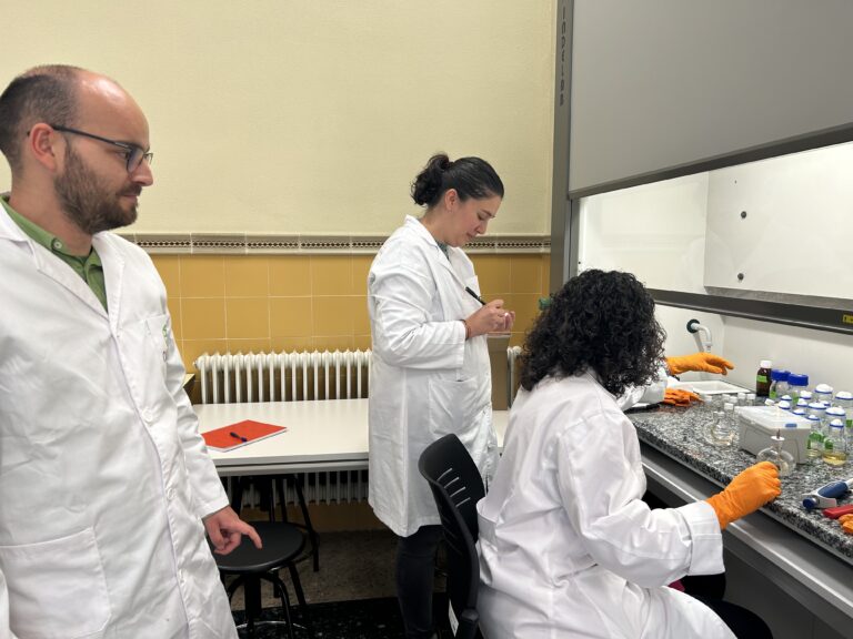 El Centro Ibérico de Investigación en Almacenamiento Energético oferta dos plazas para personal investigador