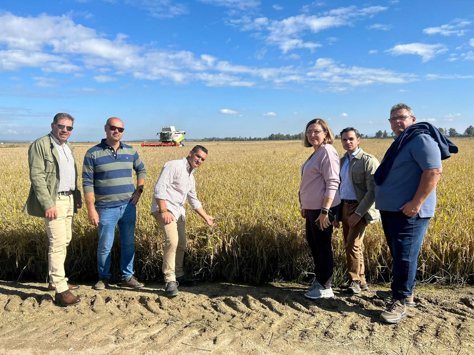 Mercedes Morán visita una plantación arrocera para abordar sobre el terreno las necesidades del sector
