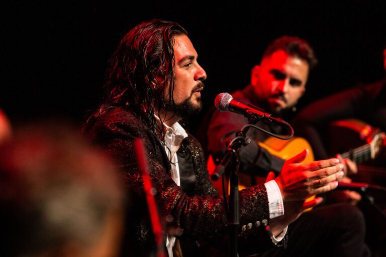 Día Internacional del Flamenco: el esfuerzo de la Diputación de Badajoz por poner en valor el arte de Extremadura