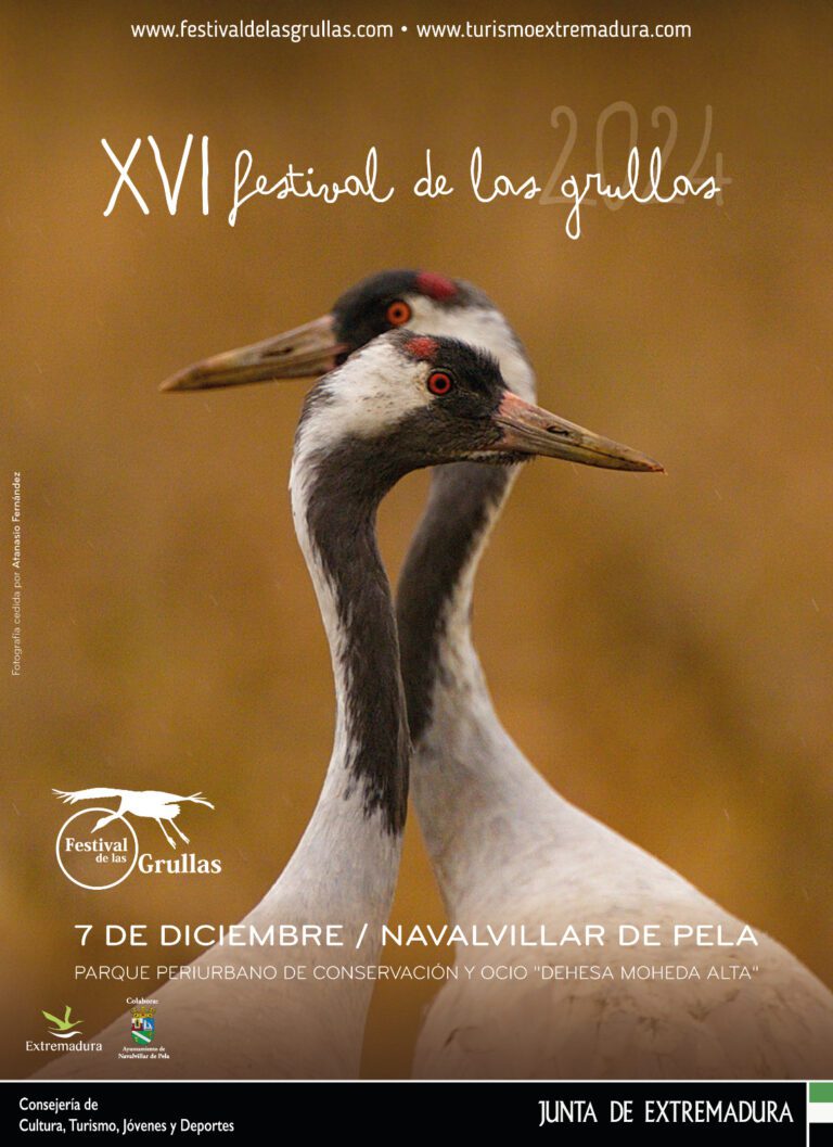 La Junta organiza el Festival de las Grullas el 7 de diciembre con 30 actividades para todos los públicos