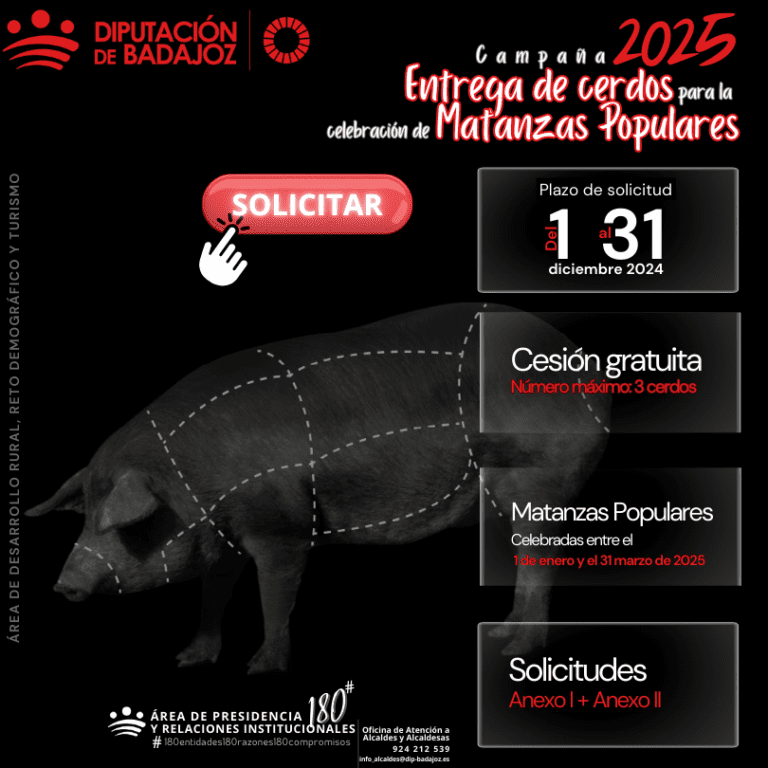 La Diputación de Badajoz presenta la campaña 2025 de entrega de cerdos para la celebración de Matanzas Populares