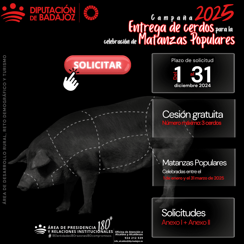 La Diputación de Badajoz presenta la campaña 2025 de entrega de cerdos para la celebración de Matanzas Populares