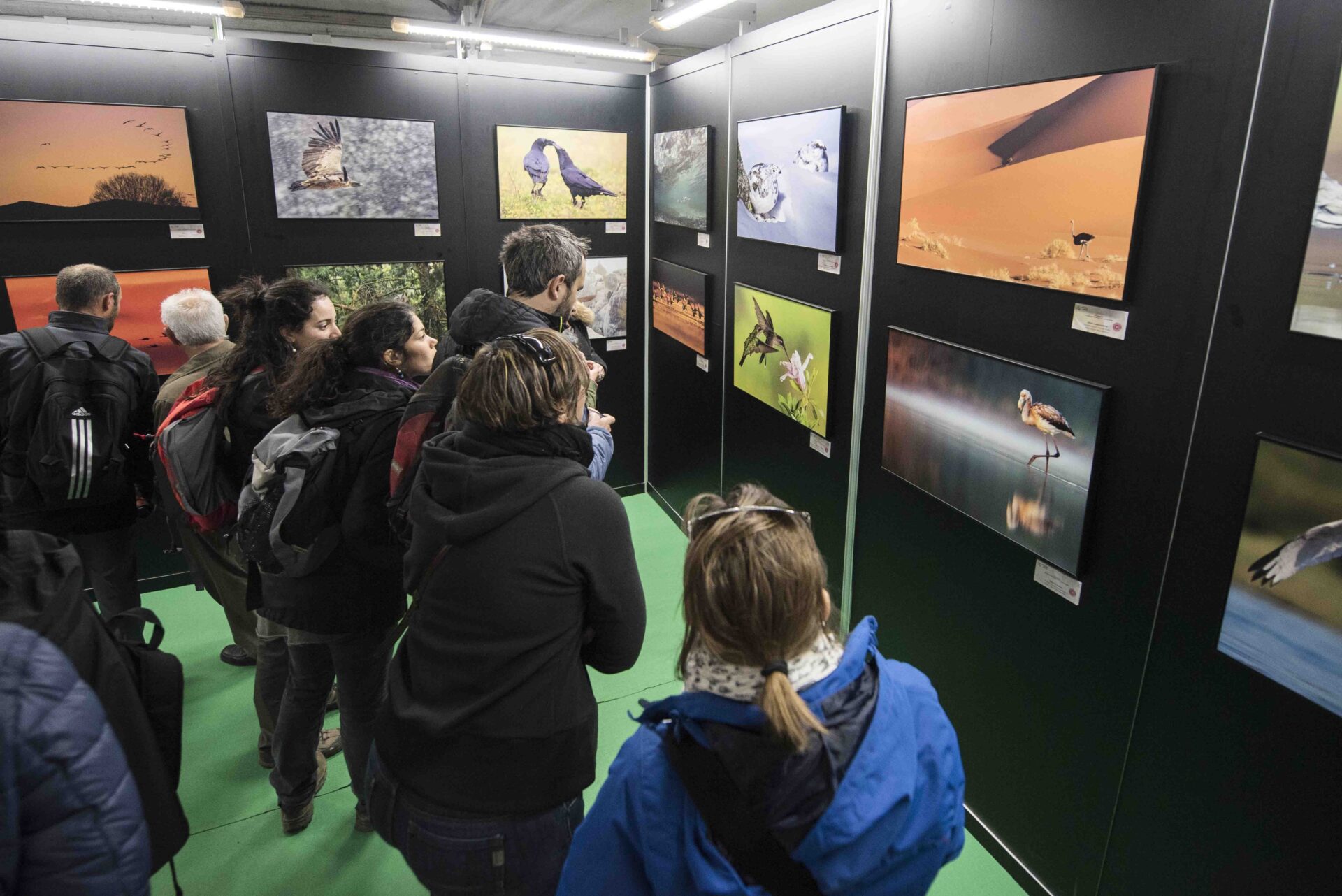 El concurso fotográfico de FIO bate su récord de participación con más de 8.000 imágenes de 31 países