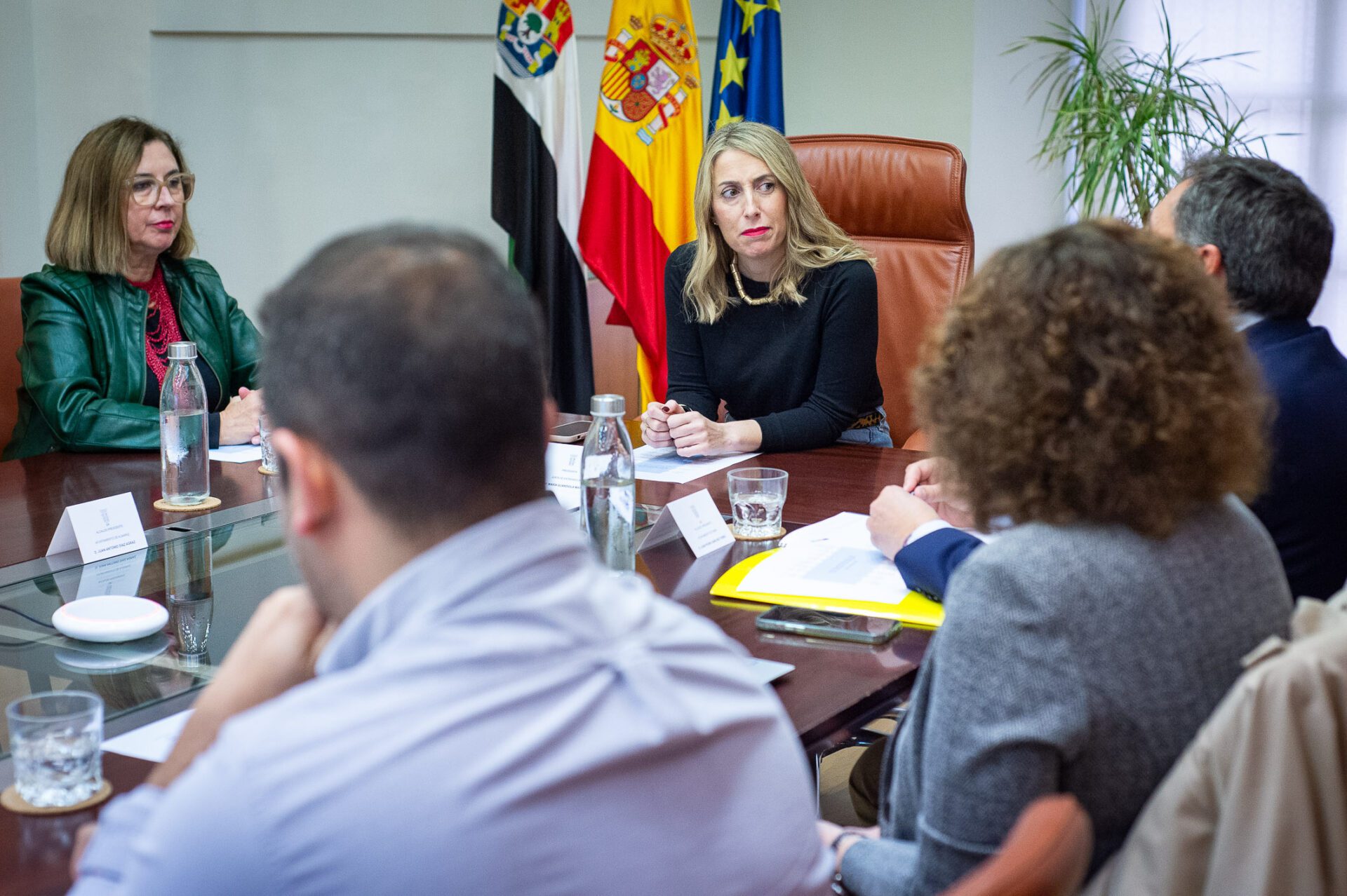 El gobierno de la Junta de Extremadura se reúne con AMAC y piden “unir esfuerzos” para tratar de revocar el cierre de la central nuclear de Almaraz