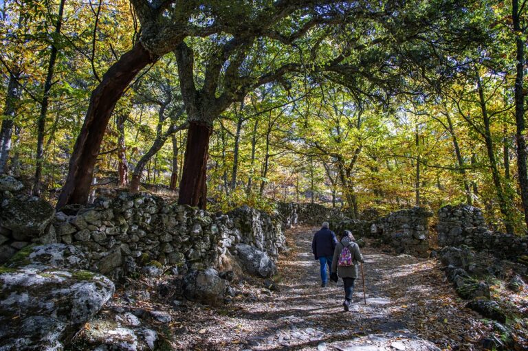 La Junta impulsa la creación de contenidos digitales de cicloturismo y senderismo para promocionar Extremadura en Alemania y otros países de Europa