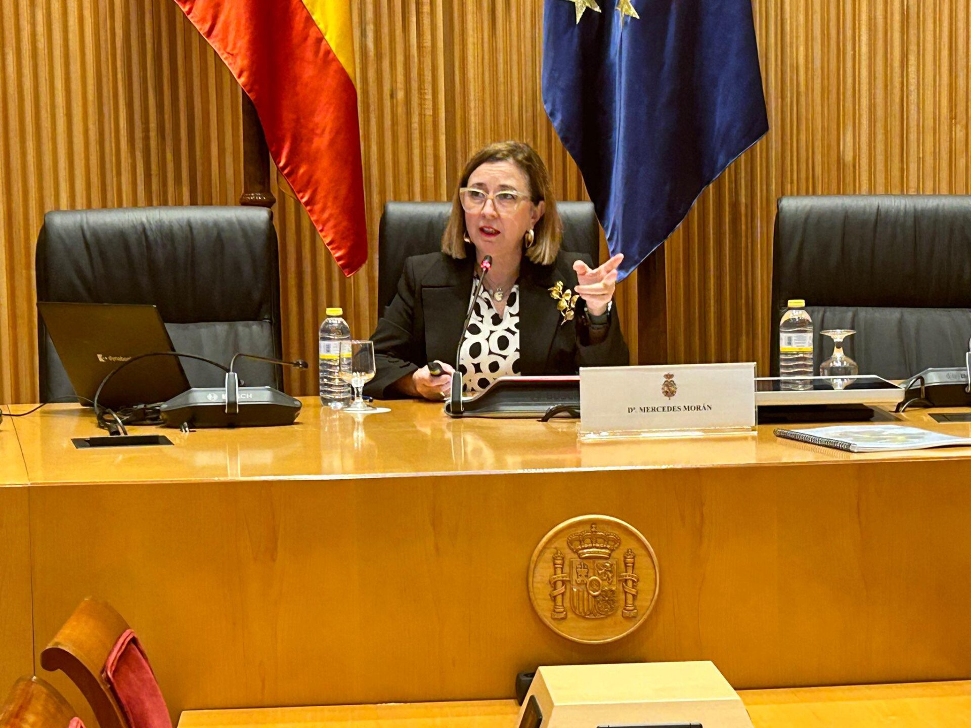 Morán presenta en una jornada de UNEF en el Congreso de los Diputados la planificación estratégica y las zonas de aceleración de renovables