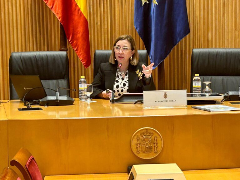 Morán presenta en una jornada de UNEF en el Congreso de los Diputados la planificación estratégica y las zonas de aceleración de renovables