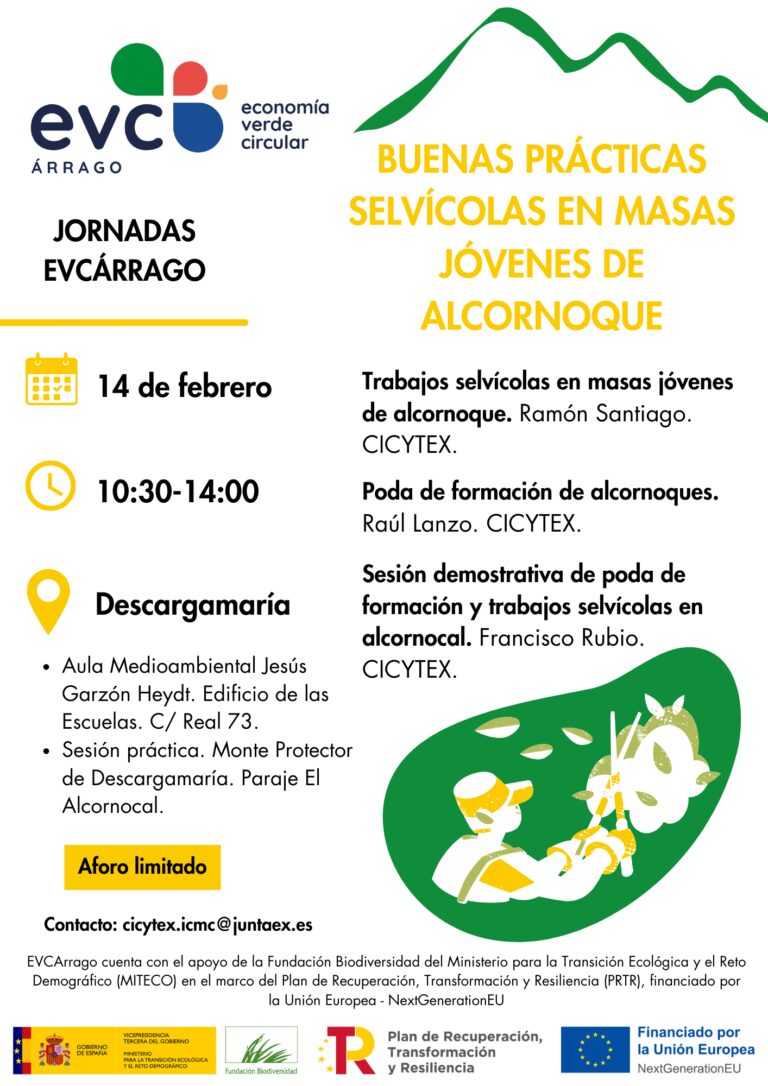 CICYTEX organiza una jornada formativa sobre buenas prácticas selvícolas en alcornocales en el Valle del Árrago