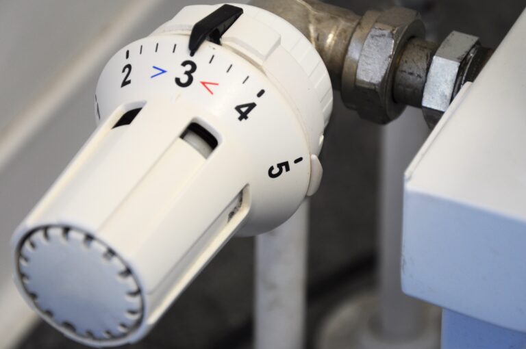 AGENEX ya ha tramitado el pago del Bono Social Térmico 2024 a más del 87% de los beneficiarios