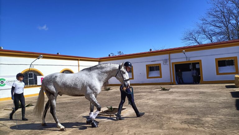 La parada de sementales 2025 del Censyra permanecerá abierta hasta mediados de junio