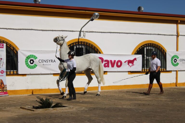 Estudiantes del Ciclo de Formación en Técnico Ecuestre del CFMR de Navalmoral participan en ferias, exhibiciones y paradas de sementales