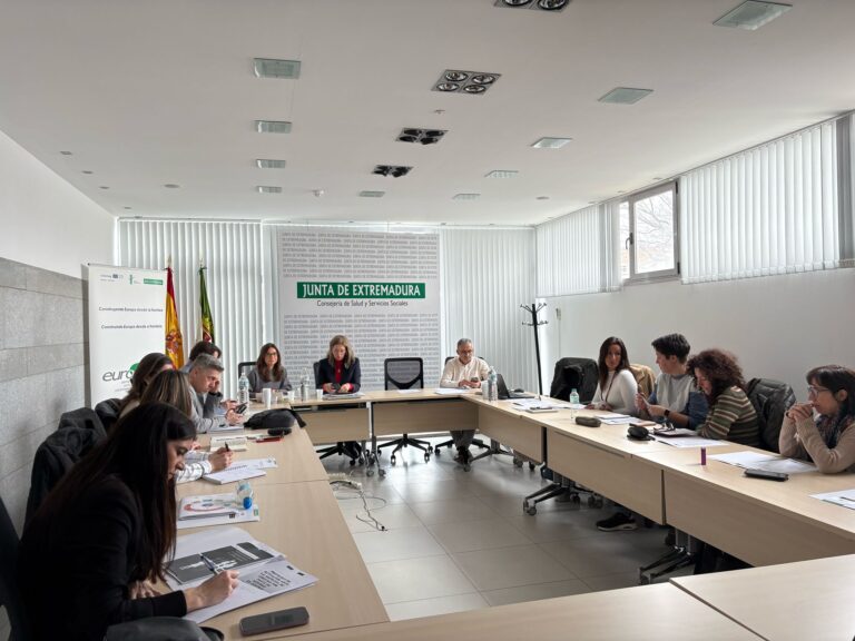 La Comisión Sectorial de Sanidad de la eurorregión EUROACE crea un grupo de trabajo específico sobre conductas de riesgo y adicciones
