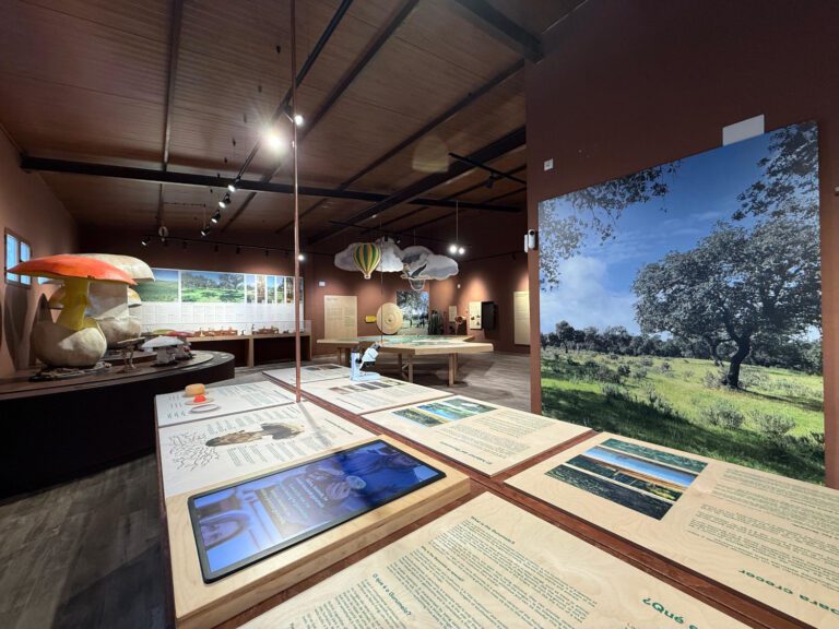 El Museo Micológico ya es una realidad en Villanueva del Fresno