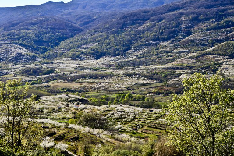 La cifra de viajeros en alojamientos extrahoteleros de Extremadura repunta el 34% en febrero