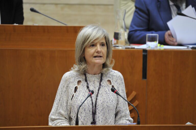 Bazaga defiende en la Asamblea de Extremadura la gestión cultural de la Junta basada en el diálogo y la profesionalización del sector