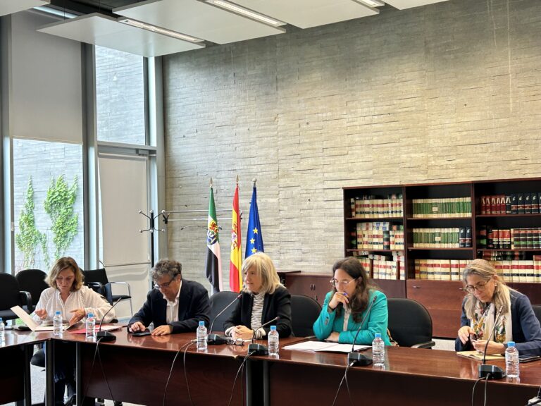 La Junta celebra la II Mesa de Patrimonio y Energía con las principales empresas del sector energético implantadas en la región