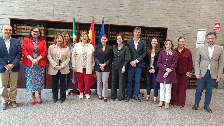 El Consejo de Dirección del IJEX aprueba el anteproyecto del VIII Plan de Juventud de Extremadura 2025-2027