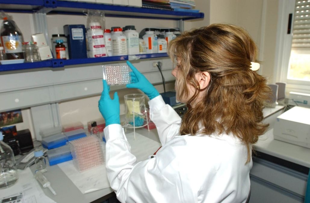 El laboratorio de Algete confirma la positividad de influencia aviar en algunos gansos en Don Benito