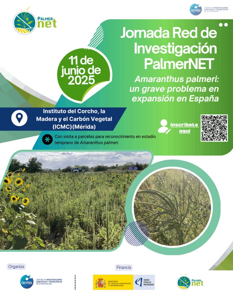 CICYTEX organiza una jornada informativa sobre amaranthus palmeri, una mala hierba presente en cultivos como maíz, tomate y girasol