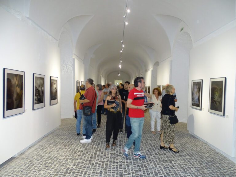 40 fotografías “intrascendentes” disponibles en el Hospital Centro Vivo hasta el 27 de julio