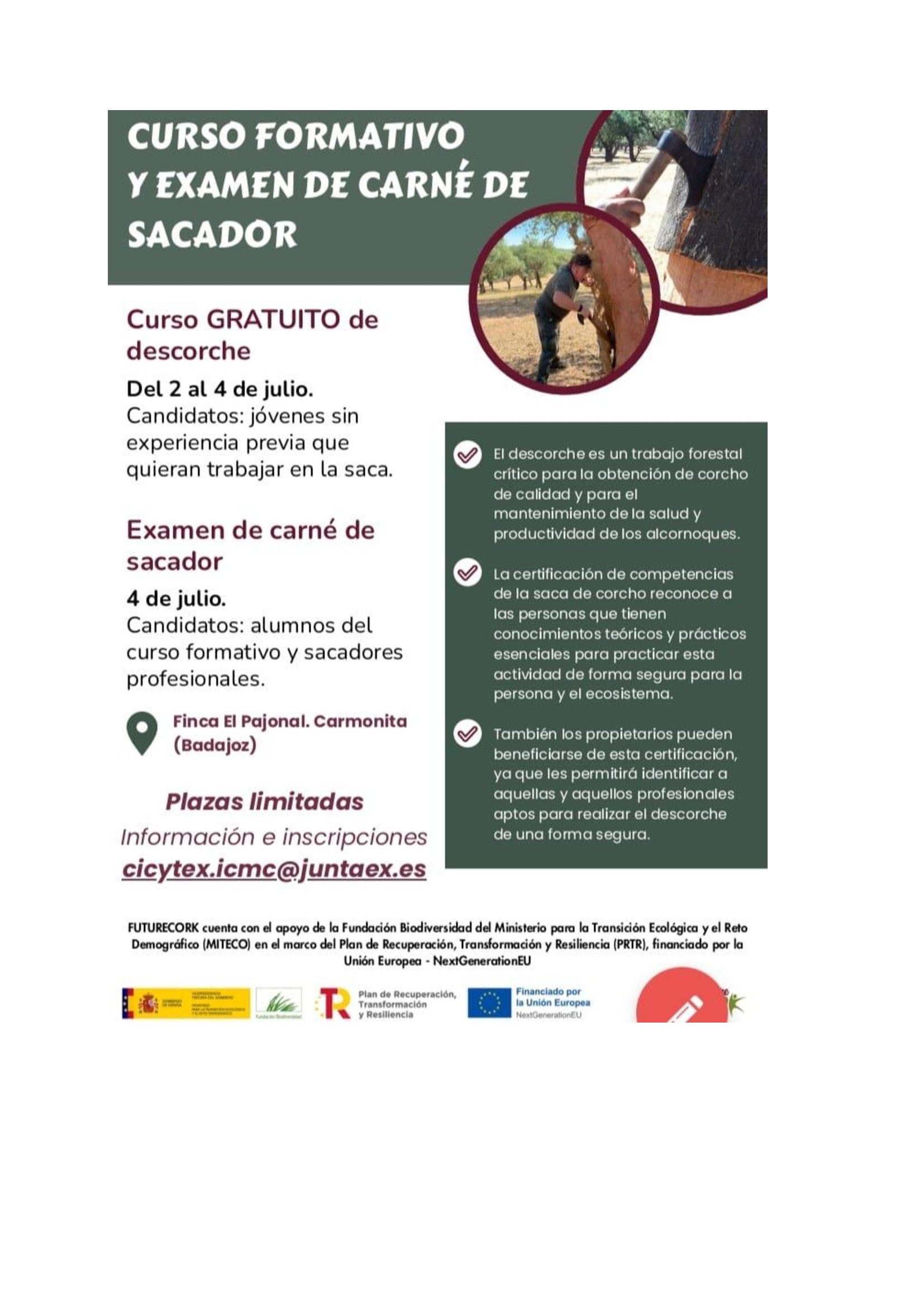 Una veintena de personas se forman en un curso de CICYTEX para obtener el carné de sacador de corcho
