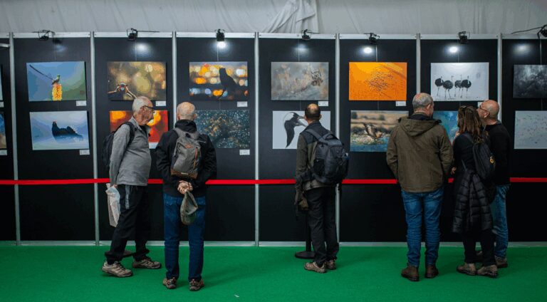 La Junta de Extremadura promociona el concurso fotográfico de la Feria Internacional de Turismo Ornitológico en un festival especializado