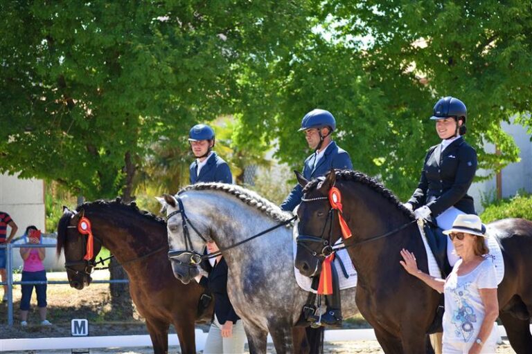 El Centro de Formación del Medio Rural de Navalmoral de la Mata acogió una de las Pruebas de Selección de Caballos Jóvenes de ANCCE