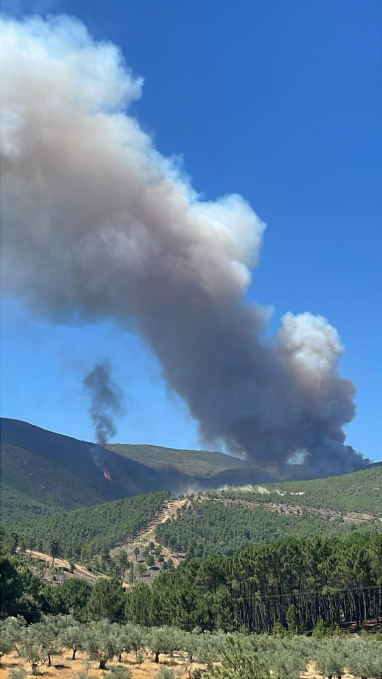 La Junta de Extremadura activa la Situación Operativa 2 del Plan INFOCAEX por un incendio originado en Caminomorisco