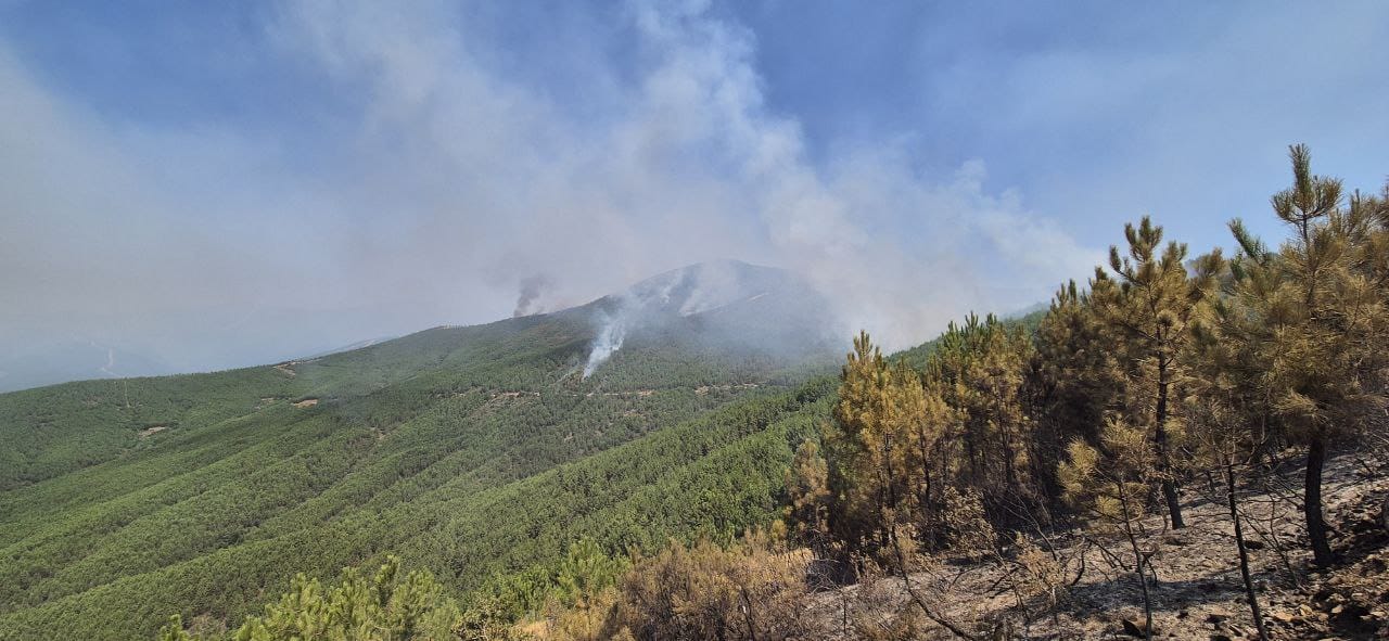 Más de 300 efectivos trabajan en las labores de extinción del incendio de Caminomorisco
