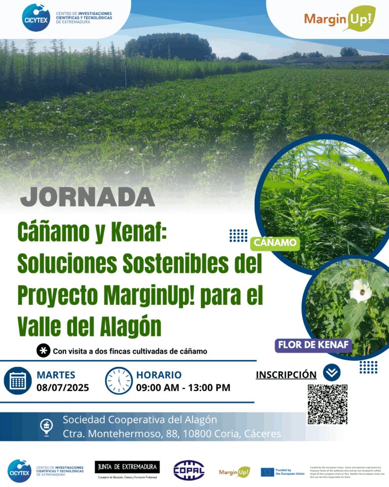 CICYTEX organiza una jornada de campo del cultivo del cáñamo y kenaf en la comarca del valle del Alagón