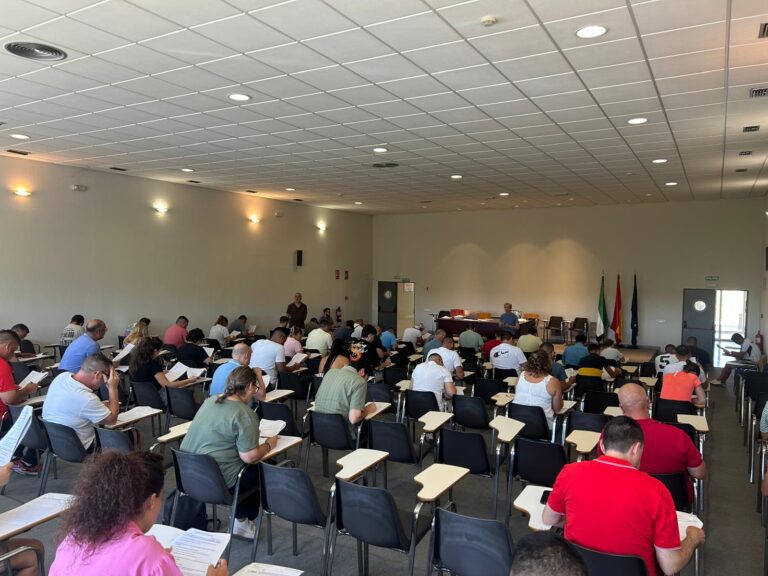 Más de 300 personas se examinan para obtener el certificado CAP para conductores de transporte de mercancías y viajeros