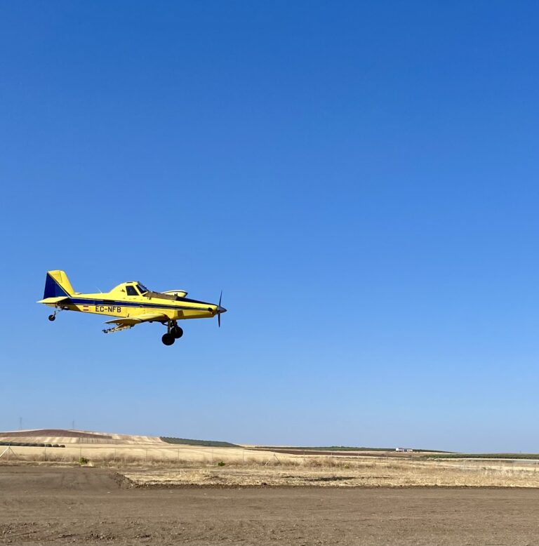 Agricultura inicia este lunes el tratamiento fitosanitario para el control de la pudenta del arroz